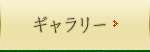 ギャラリー